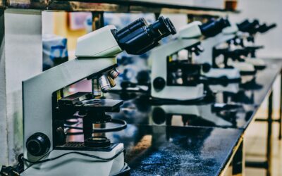 When Squamous Cell Carcinoma is Missed: Why Early Action and Patient Transparency Matter